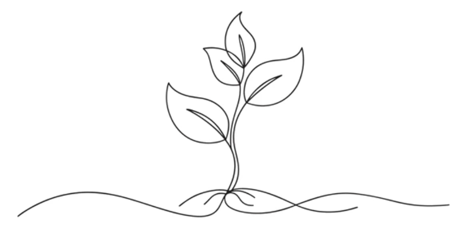 Growing sprout representing nurturing growth