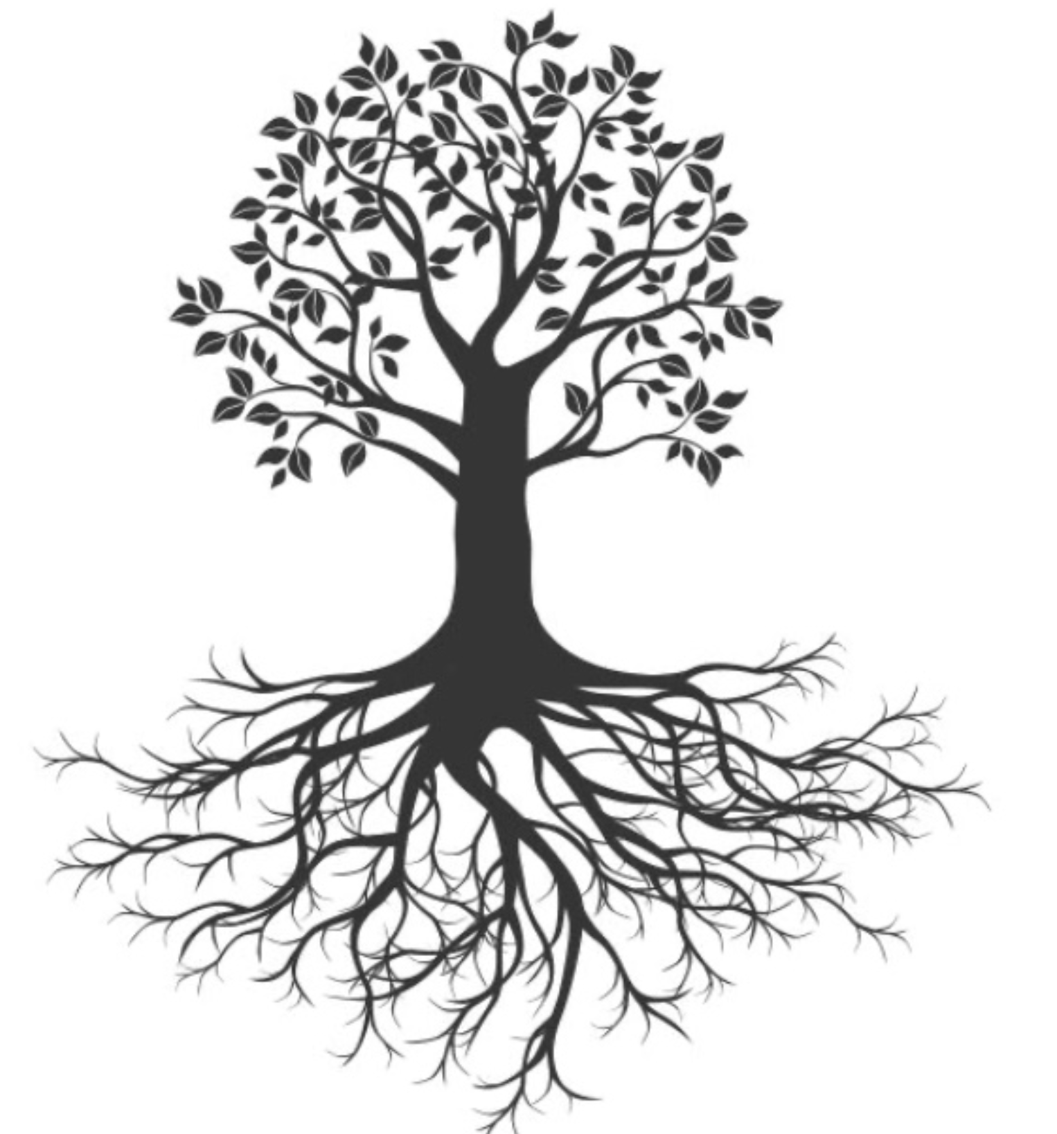 Tree with deep roots representing sustainability and lasting foundation